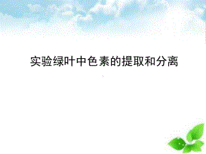 绿叶中色素的提取和分离课件(自制).ppt