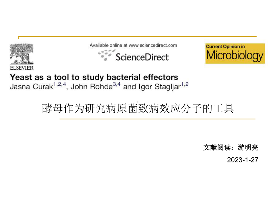 酵母作为研究病原菌致病效应分子的工具-生物化学与分子生物学课件.ppt_第1页