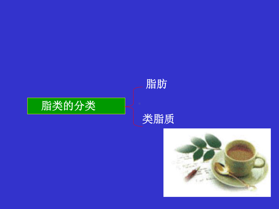 课件-食品分析-第六章脂肪的测定.ppt_第3页