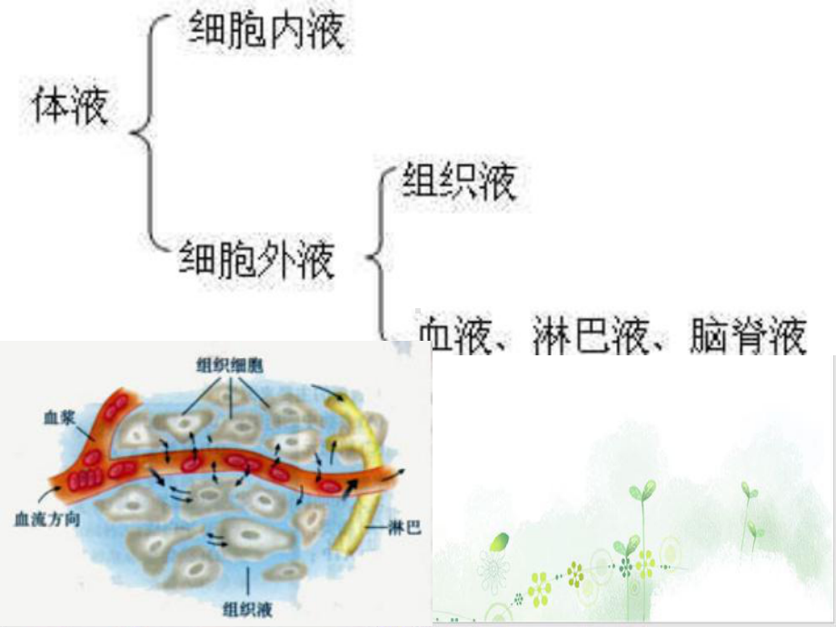 第五章血液生理新讲课课件.ppt_第3页