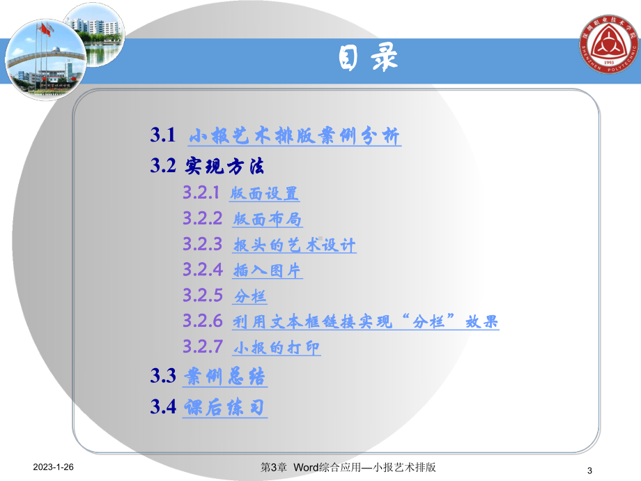 计算机应用基础-课件.ppt_第3页