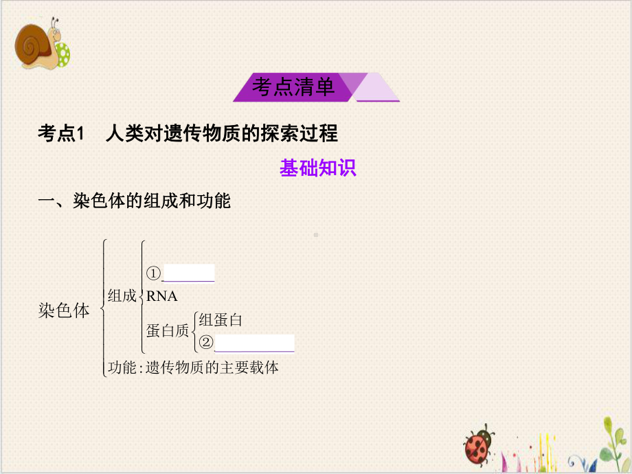 高考复习遗传的分子基础完美课件.ppt_第2页