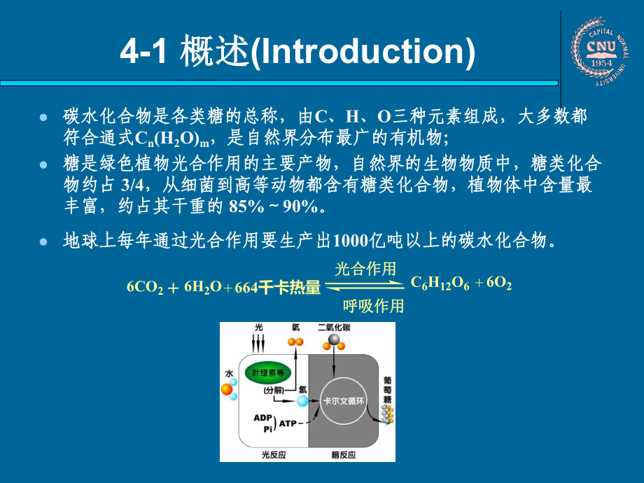 第四章-碳水化合物课件.ppt_第2页