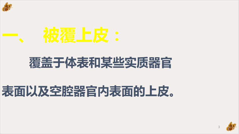 解剖学与组织胚胎学上皮课件.pptx_第3页