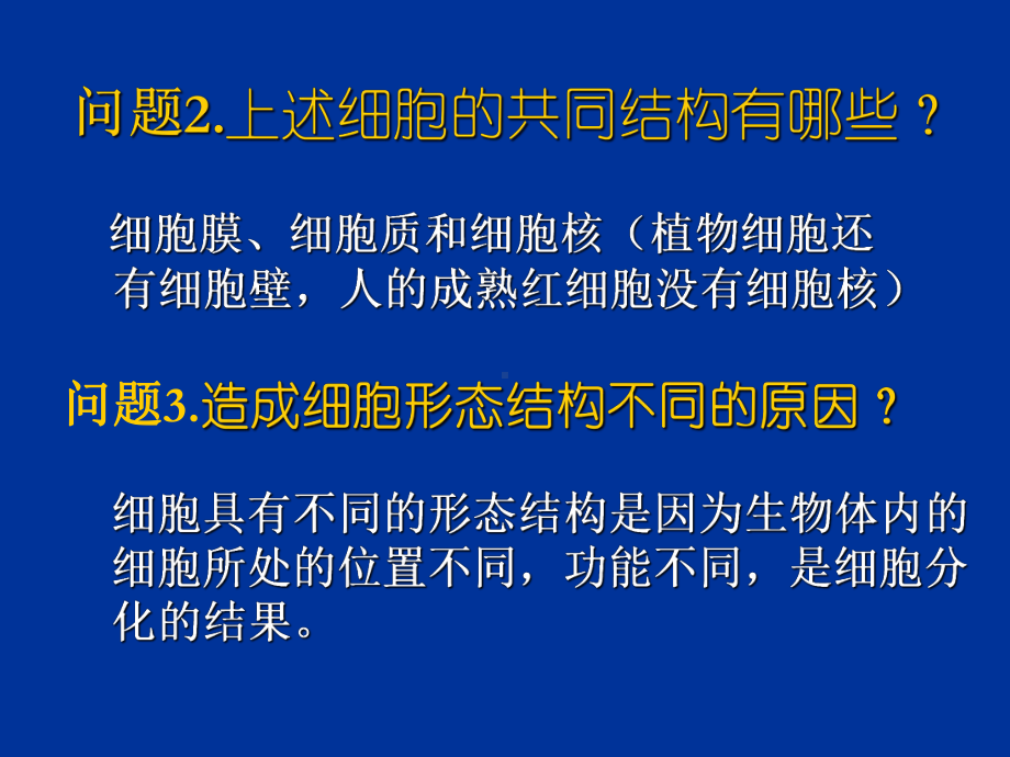 细胞的多样性和统一性25-优秀课件.ppt_第3页