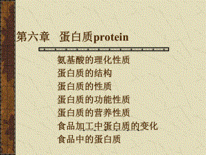 第六章--蛋白质protein课件.ppt