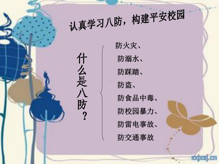 生命安全课课件.ppt_第3页