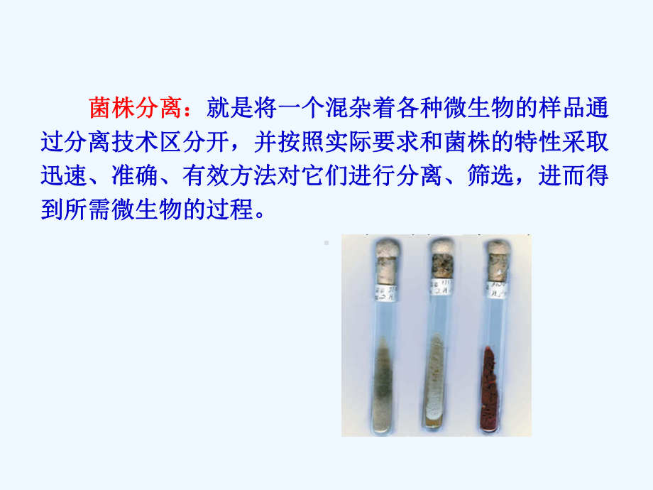 第六章工业微生物产生菌的分离筛选课件.ppt_第2页