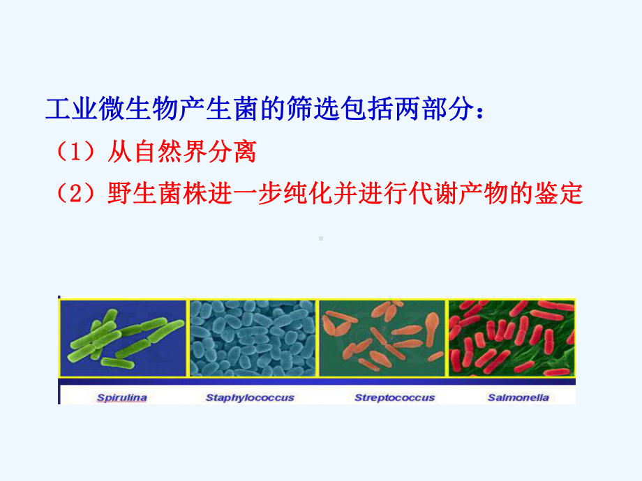 第六章工业微生物产生菌的分离筛选课件.ppt_第3页