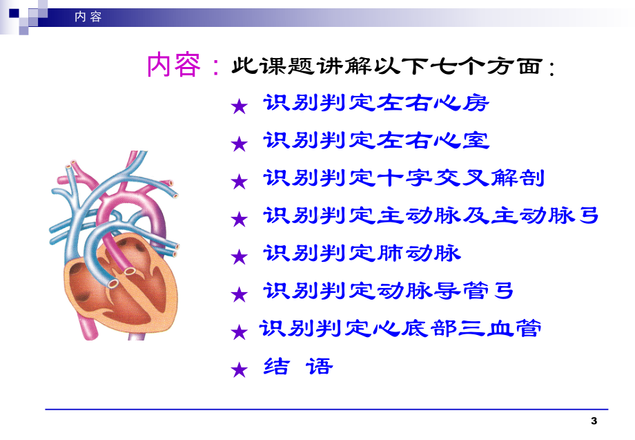 胎儿心脏解剖结构的超声判定课件.ppt_第3页
