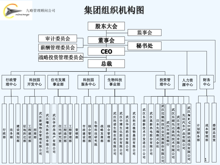 集团组织架构操作方案.ppt_第2页