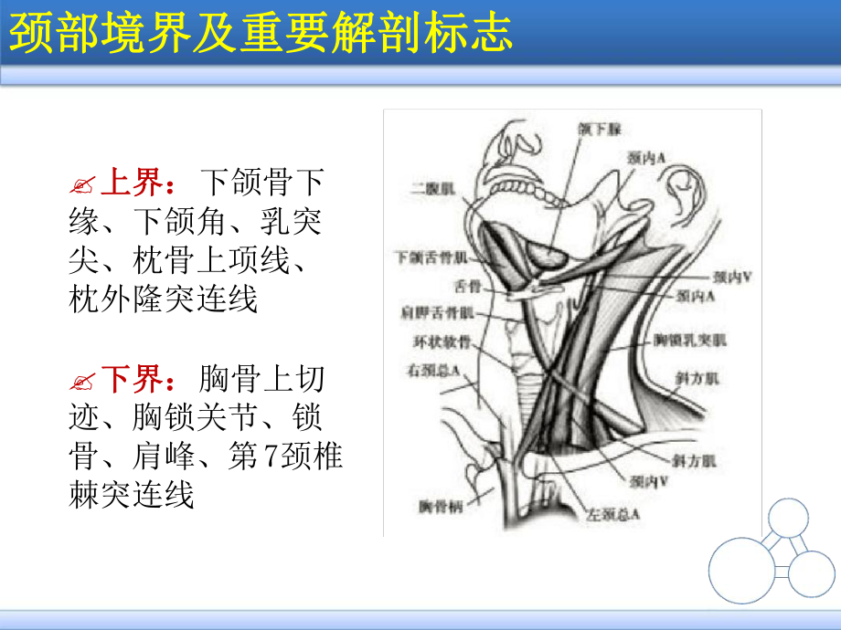 颈部淋巴结的影像解剖及常见病变的影像表现课件.ppt_第2页