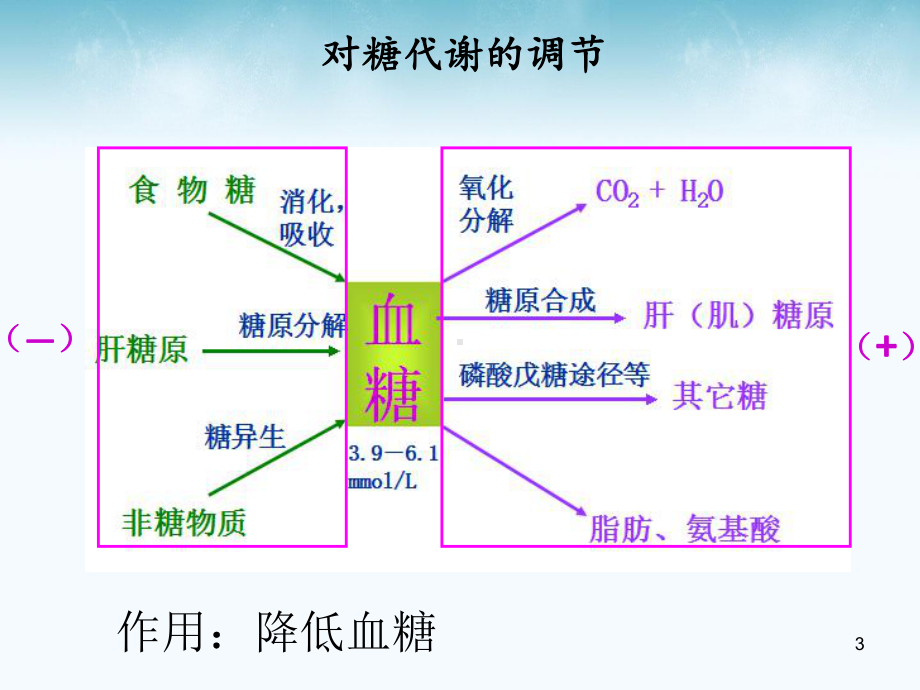 胰岛素的代谢调节-课件.ppt_第3页