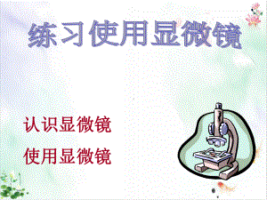 细胞显微镜的使用件课件.ppt