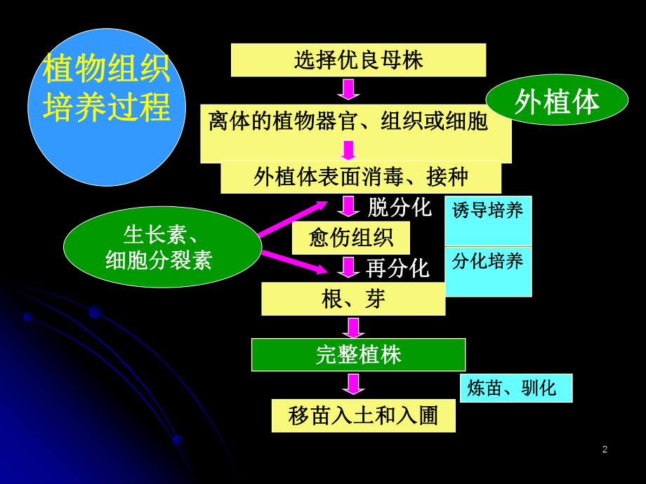 第七章植物快速繁殖和脱毒课件.ppt_第2页