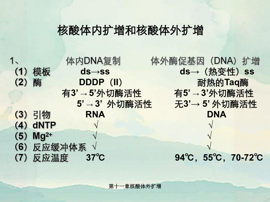 第十一章核酸体外扩增课件.ppt_第2页