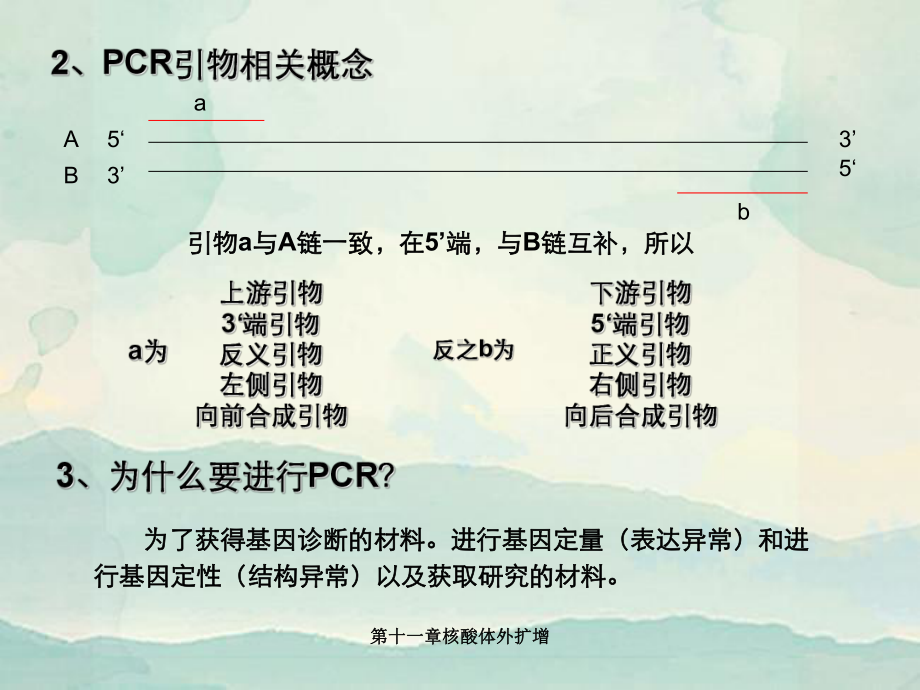 第十一章核酸体外扩增课件.ppt_第3页