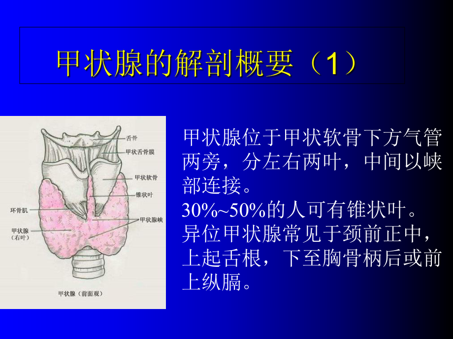 规范甲状腺检查-课件.ppt_第3页