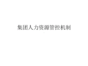 集团人力资源管控机制课件.ppt