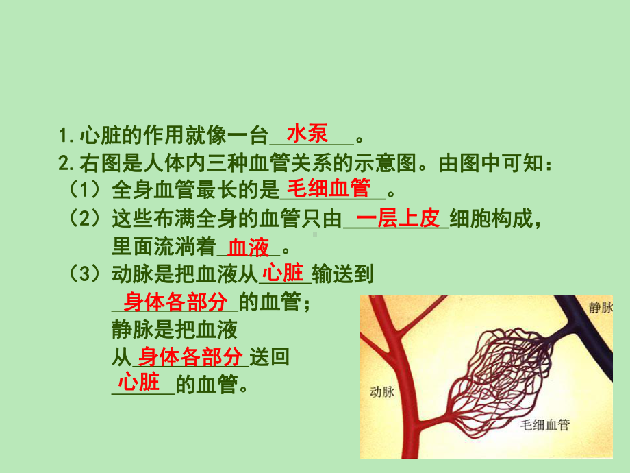 物质运输的途径有动画课件.ppt_第2页