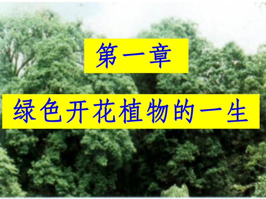 绿色开花植物的一生1课件.ppt_第1页