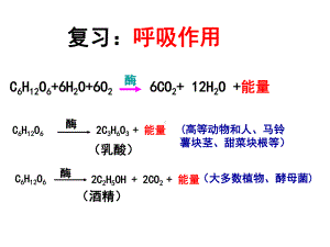 第一轮光合作用一轮复习课件.ppt