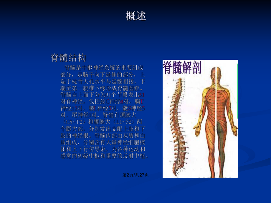 脊髓炎康复2教案课件.pptx_第3页