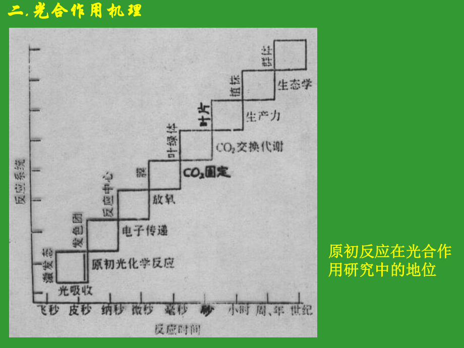 光合机理1-植物生理-教学课件.ppt_第1页