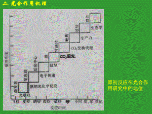 光合机理1-植物生理-教学课件.ppt