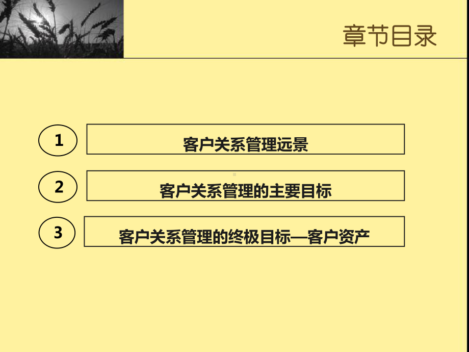 第三章-客户关系管理远景与目标-(《客户关系管理》课件).ppt_第1页