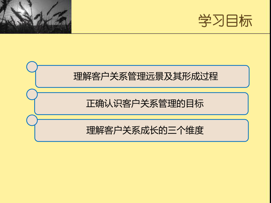 第三章-客户关系管理远景与目标-(《客户关系管理》课件).ppt_第2页