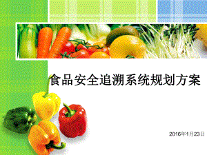 食品安全追溯系统新方案(同名568)课件.ppt