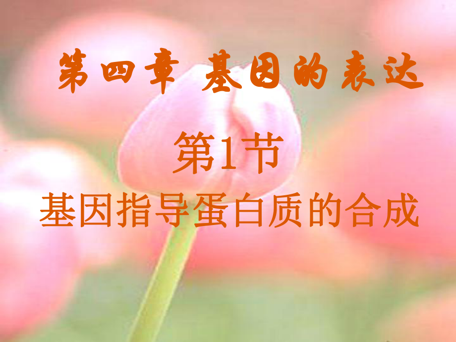 转录和翻译课件.ppt_第3页