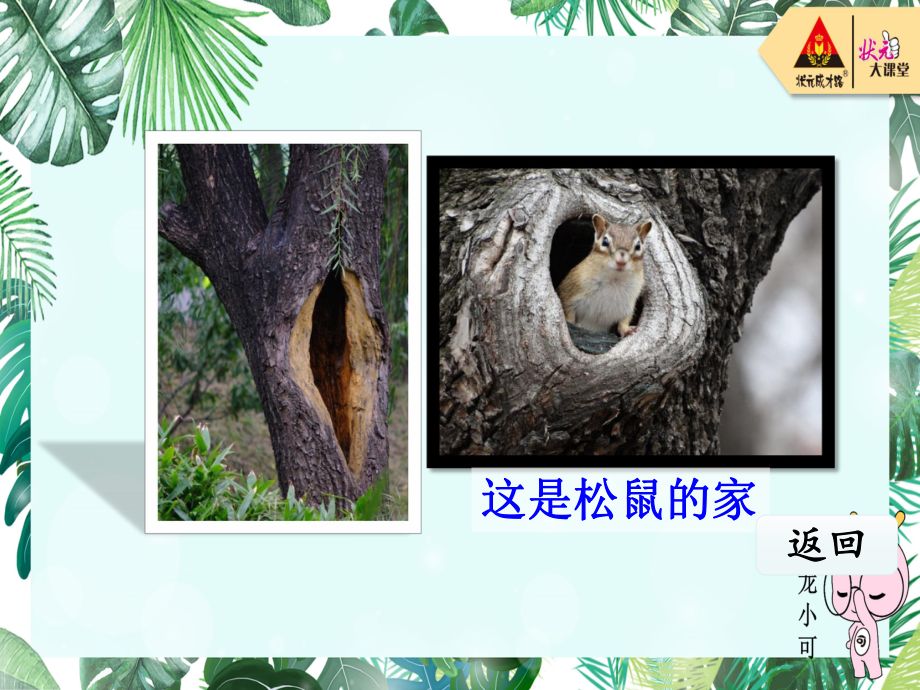 部编版-蝴蝶的家（课件）.ppt_第3页