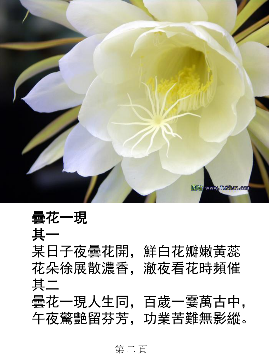 诗寻集第二册卒尔日斜枯坐近黄昏随手翻翻小诗本偶遇图画尚可看附课件.ppt_第3页