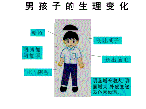 xxx中学初中主题班会ppt课件：正当鲜花盛开时(共16张PPT).ppt