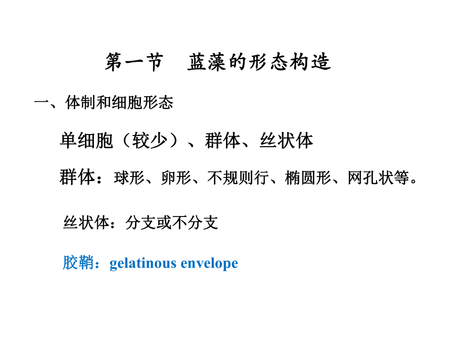 第二章蓝藻门概述课件.ppt_第2页