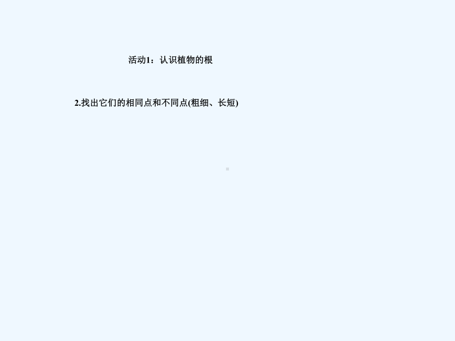 苏教版小学三年级科学第二单元根和茎课件.ppt_第2页