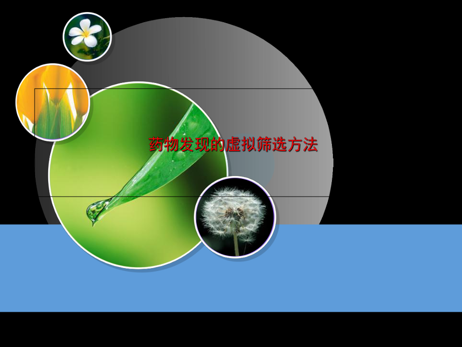 药物发现的虚拟筛选方法课件.ppt_第2页