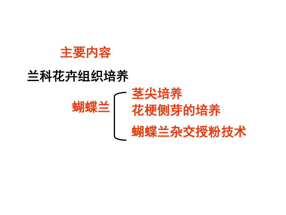 蝴蝶兰组培课件.ppt_第2页