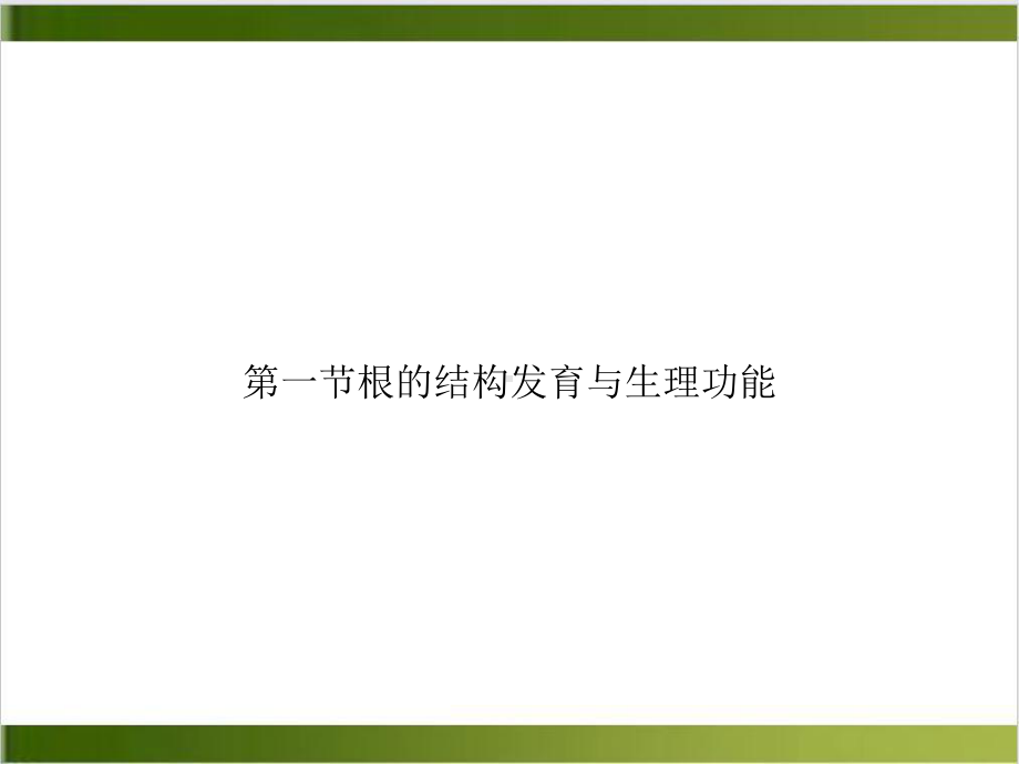 第一节根的结构发育与生理功能培训课件.ppt_第1页