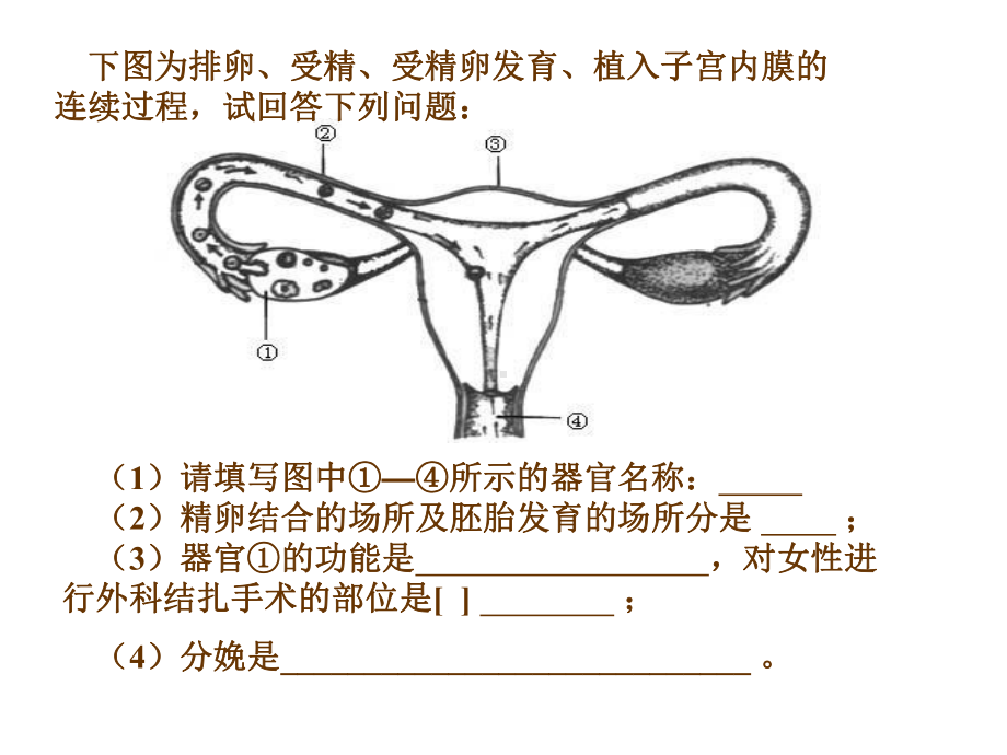 第四单元第二章人体的营养课件.ppt_第3页