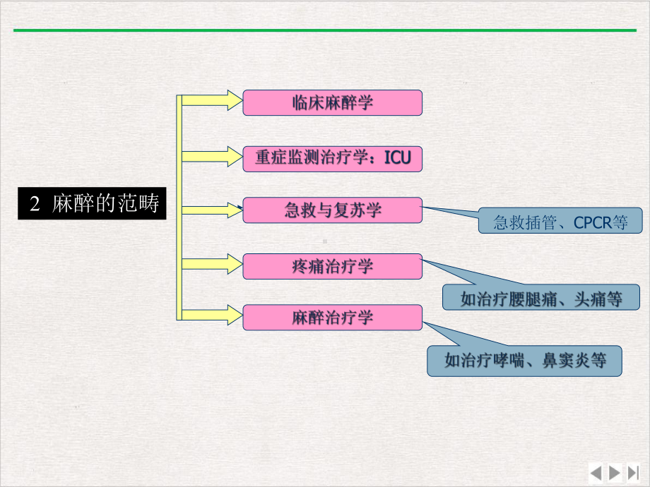 麻醉学麻醉课件.pptx_第2页