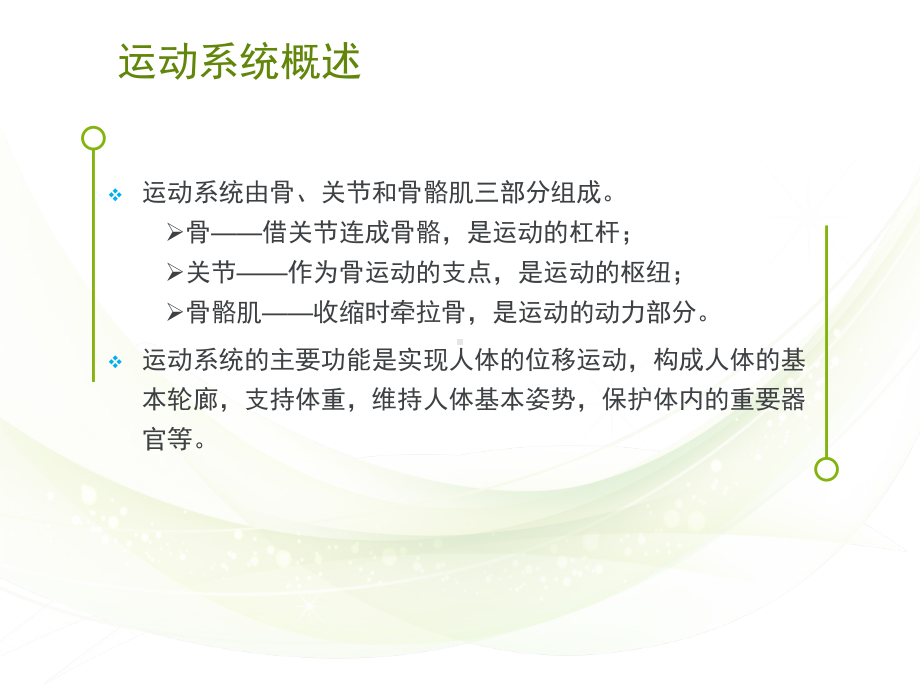 运动系统概述课件.ppt_第2页