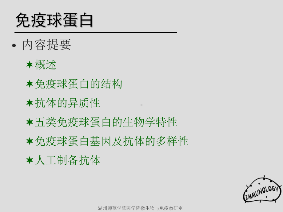 第4章免疫球蛋白1课件.ppt_第2页