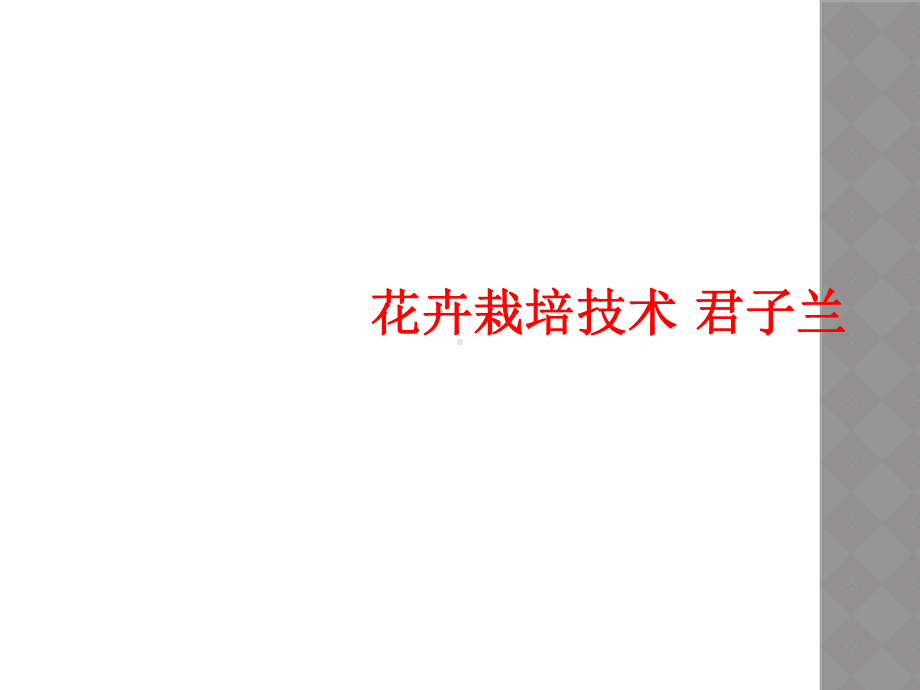 花卉栽培技术-君子兰课件.ppt_第1页