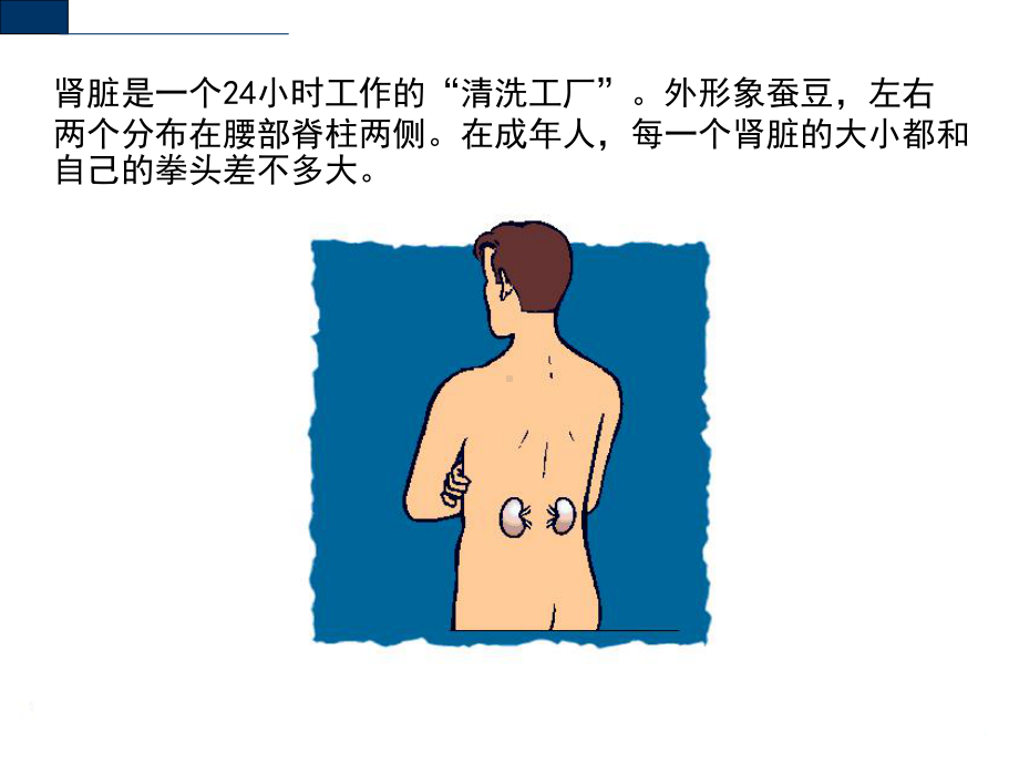 腹膜透析血液透析课件.ppt_第2页