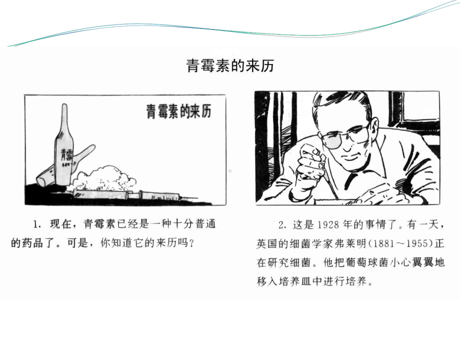 青霉素类药物-课件.ppt_第3页