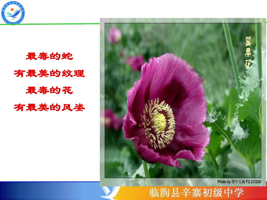 珍爱生命远离毒品（共38张PPT）ppt课件.ppt_第2页