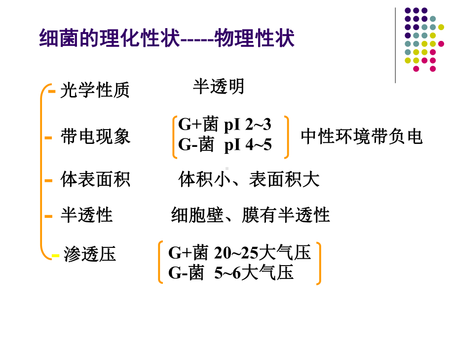 细菌的生理课件.ppt_第2页